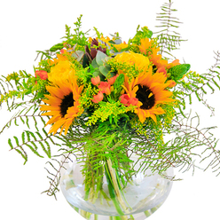 The first impression of this hand-crafted Reigate bouquet is one of boundless warmth and elegant seasonal abundance. Brilliant sunflowers and soft yellow garden roses open confidently beside each other, their petals layered in concentric spirals that exude generosity and cheer. Deep green leaves entwine with slender vines, spilling over the composition's edge-a living snapshot of peak summer along the quiet lanes near Wray Common. Glossy scarlet Hypericum berries, peppered among the blooms, sparkle with a playful gleam that enlivens the palette, a subtle nod to the town's lively markets. Soft, airy fronds of fern and sprigs of yellow-tipped filler create a cloud-like frame around the arrangement, their lightness offset by occasional flecks of muted blue eucalyptus. The clear, rounded glass vase grounds the bouquet and spotlights the intricately woven stems, each line visible beneath the fresh, shimmering water. On closer inspection, the textures invite touch: suede-like sunflower petals, the tight corsetry of rosebuds, and the clean snap of lush foliage. The fragrance is quiet yet uplifting-a reminder of walks through open gardens and the promise of celebration. Whether marking a milestone, sending congratulations, or simply lighting up a loved one's day, this bouquet embodies the spirit and artisanal pride of Reigate's local florists.